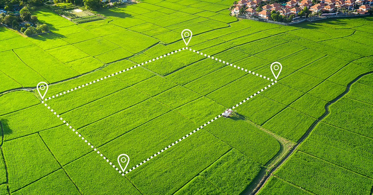 Vacant land prepared for boundary visibility and site presentation.